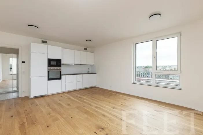 Pronájem bytu 1+kk, Praha - Radlice, U Komína, 39 m2
