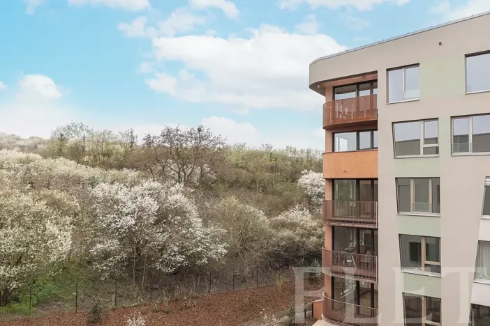Pronájem bytu 1+kk, Praha - Radlice, U Komína, 39 m2