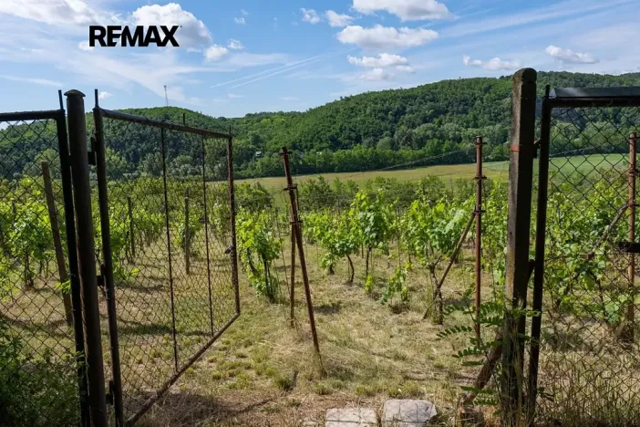 Prodej sadu/vinice, Moravské Bránice, 2403 m2
