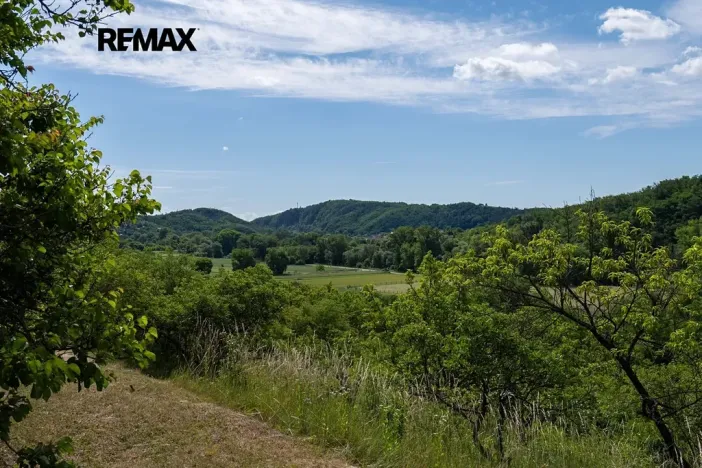 Prodej sadu/vinice, Moravské Bránice, 2403 m2
