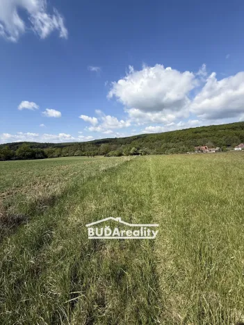 Prodej pole, Bojkovice, Luhačovická, 15000 m2