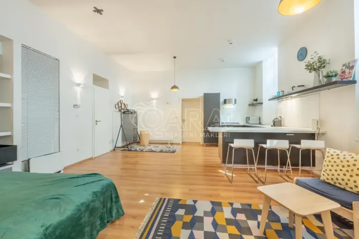 Pronájem bytu 1+kk, Praha - Vinohrady, Mánesova, 53 m2