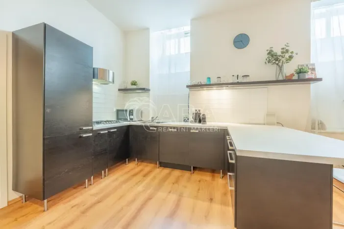Pronájem bytu 1+kk, Praha - Vinohrady, Mánesova, 53 m2