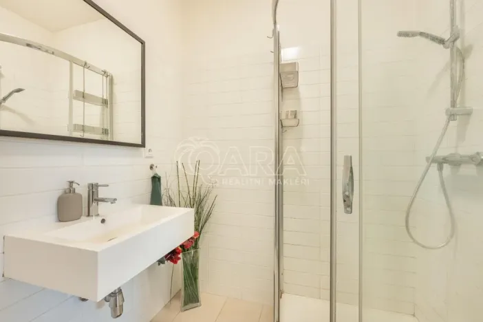 Pronájem bytu 1+kk, Praha - Vinohrady, Mánesova, 53 m2