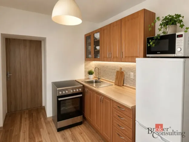 Prodej činžovního domu, Krásná Lípa, Kyjovská, 298 m2