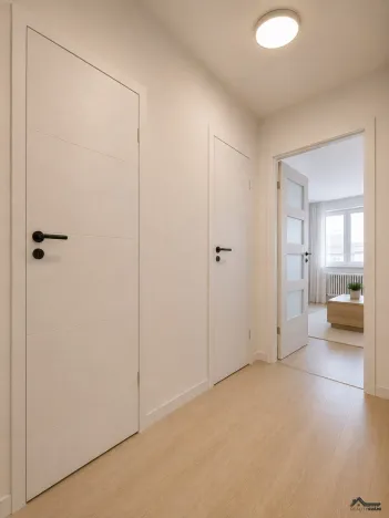 Prodej bytu 1+kk, Ostrava, Francouzská, 30 m2