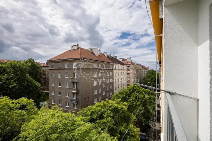 Prodej bytu 2+1, Praha - Žižkov, Biskupcova, 82 m2