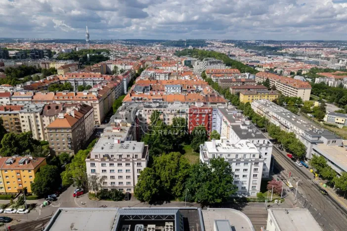 Prodej bytu 2+1, Praha - Žižkov, Biskupcova, 82 m2