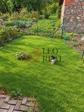 Prodej rodinného domu, Borač, 90 m2