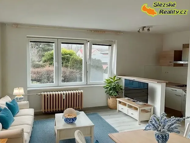 Pronájem bytu 1+kk, Ostrava, Krakovská, 22 m2