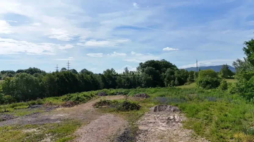 Prodej komerčního pozemku, Klášterec nad Ohří, Palackého, 5674 m2