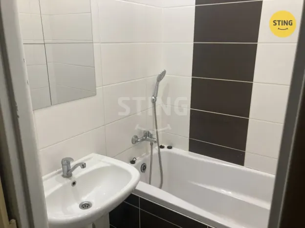 Pronájem bytu 1+1, Ostrava, Horní, 40 m2