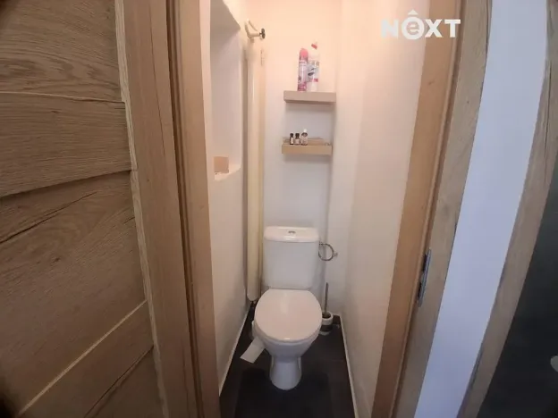 Pronájem bytu 1+kk, Ledenice, 5. května, 48 m2