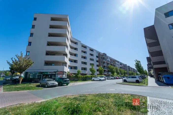 Prodej bytu 3+kk, Brno - Slatina, Řípská, 105 m2
