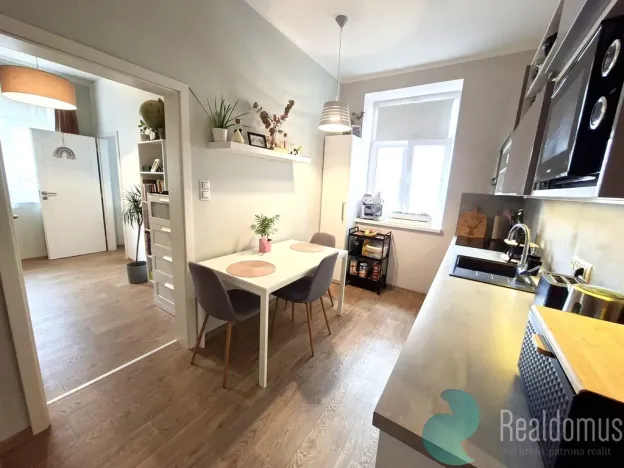 Pronájem bytu 1+1, České Budějovice, Komenského, 47 m2