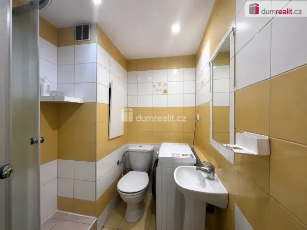 Prodej bytu 1+1, Sokolov, Alšova, 37 m2
