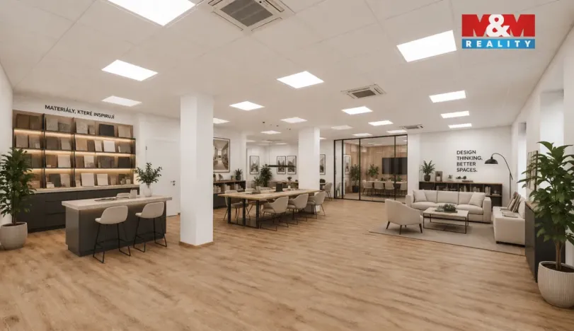 Prodej kanceláře, Plzeň - Severní Předměstí, Otýlie Beníškové, 284 m2