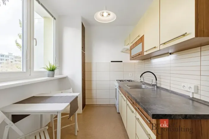 Prodej bytu 2+1, Brno - Lesná, Šrámkova, 53 m2