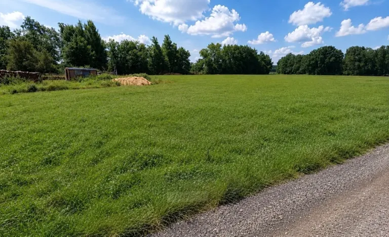 Prodej louky, Dubné - Třebín, 723 m2