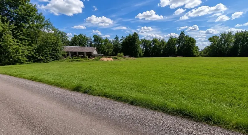 Prodej louky, Dubné - Třebín, 723 m2