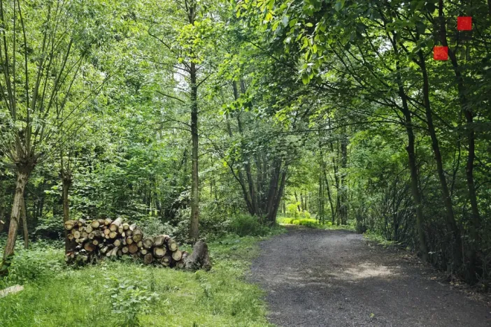 Prodej rodinného domu, Hrádek nad Nisou - Donín, K Rybníku, 250 m2
