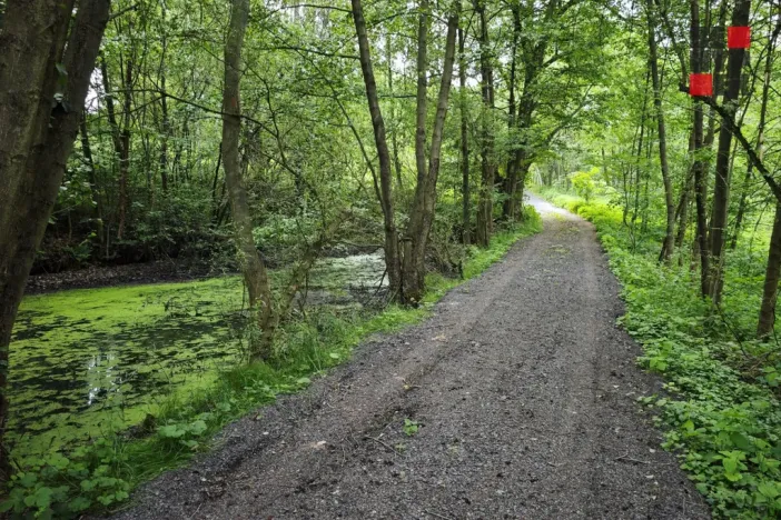 Prodej rodinného domu, Hrádek nad Nisou - Donín, K Rybníku, 250 m2