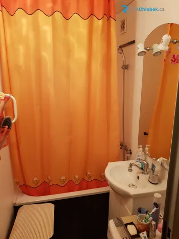 Pronájem bytu 1+kk, Frýdek-Místek - Frýdek, Pekařská, 30 m2
