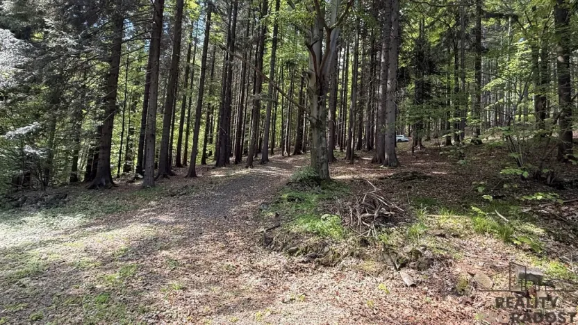 Prodej chaty, Krásná, 50 m2