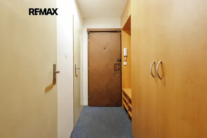 Prodej bytu 1+kk, Praha - Hodkovičky, Pod lysinami, 29 m2