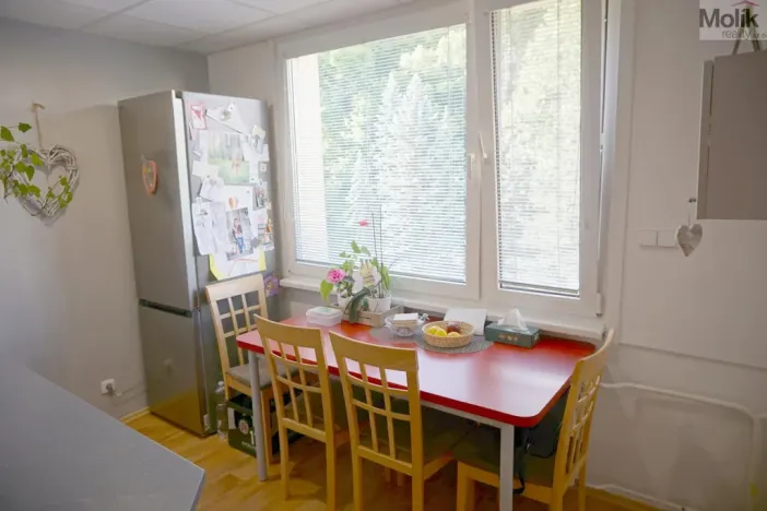 Prodej bytu 3+1, Litvínov - Horní Litvínov, Tylova, 64 m2