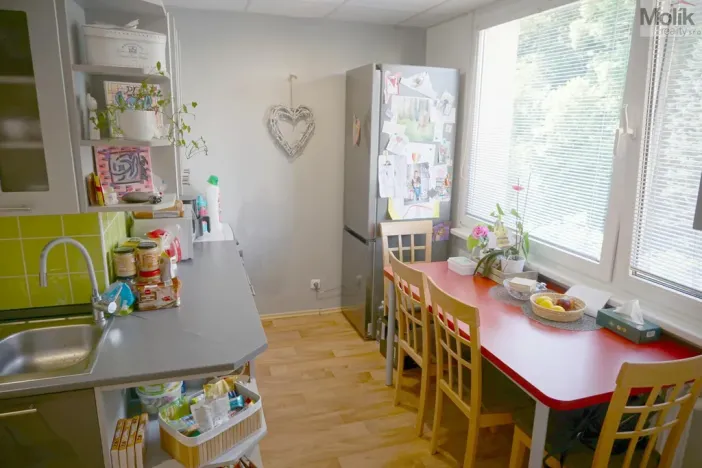 Prodej bytu 3+1, Litvínov - Horní Litvínov, Tylova, 64 m2