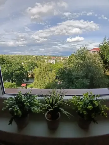Pronájem bytu 2+1, Uherský Brod, Luhanova, 63 m2