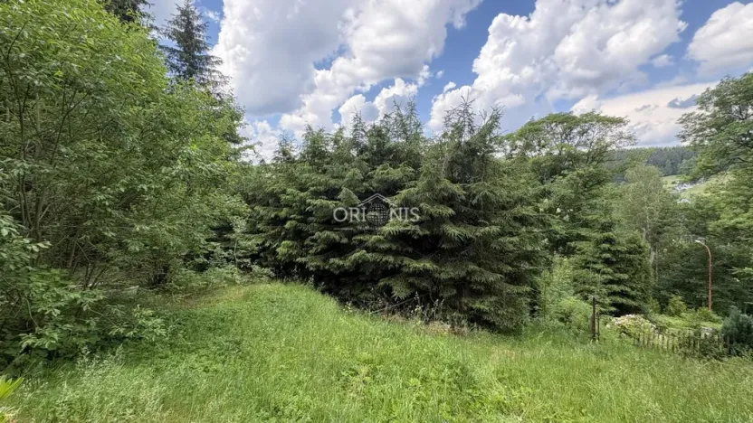 Prodej chalupy, Vejprty, Alešova, 214 m2