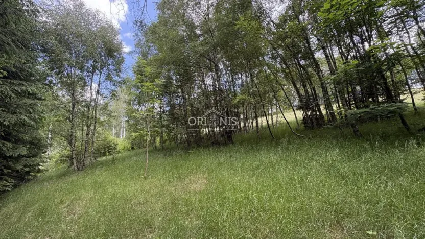 Prodej chalupy, Vejprty, Alešova, 214 m2