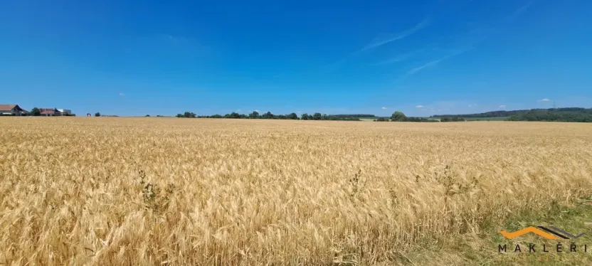 Pronájem rodinného domu, Suchohrdly, Lesní, 110 m2