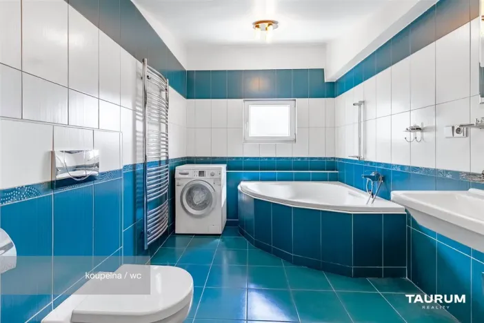 Prodej rodinného domu, České Budějovice - České Budějovice 6, Mayerova, 269 m2