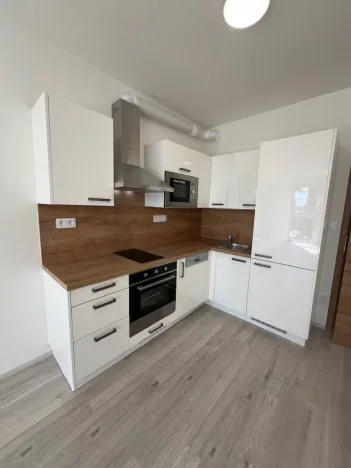 Pronájem bytu 1+kk, Plzeň - Jižní Předměstí, Goldscheiderova, 29 m2