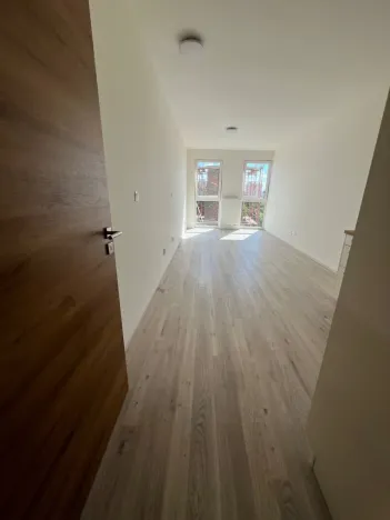 Pronájem bytu 1+kk, Plzeň - Jižní Předměstí, Goldscheiderova, 29 m2