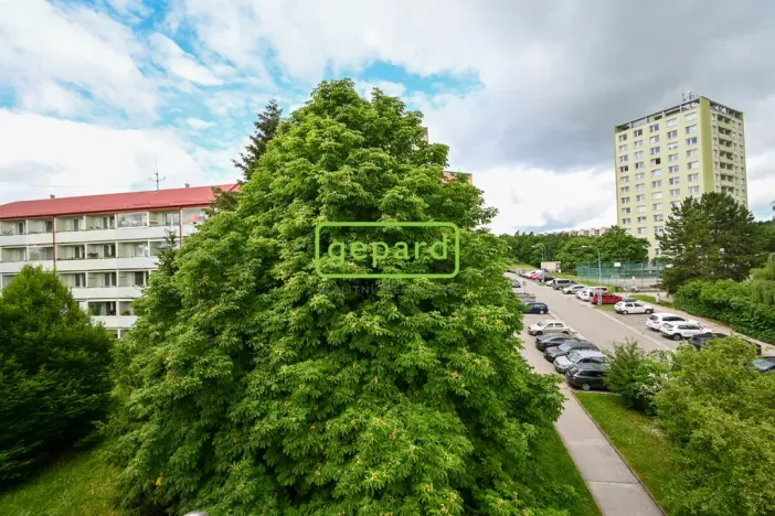 Prodej bytu 2+1, Brno - Kohoutovice, Stamicova, 59 m2