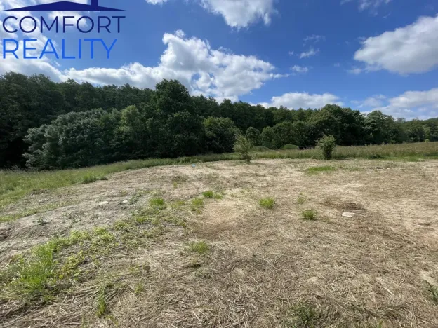 Prodej rodinného domu, Bílovec - Stará Ves, 300 m2