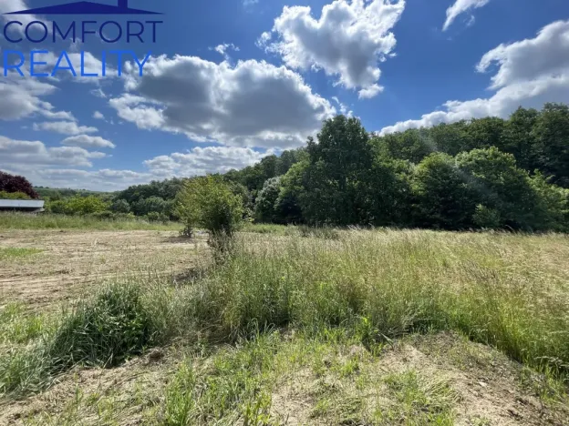 Prodej rodinného domu, Bílovec - Stará Ves, 300 m2