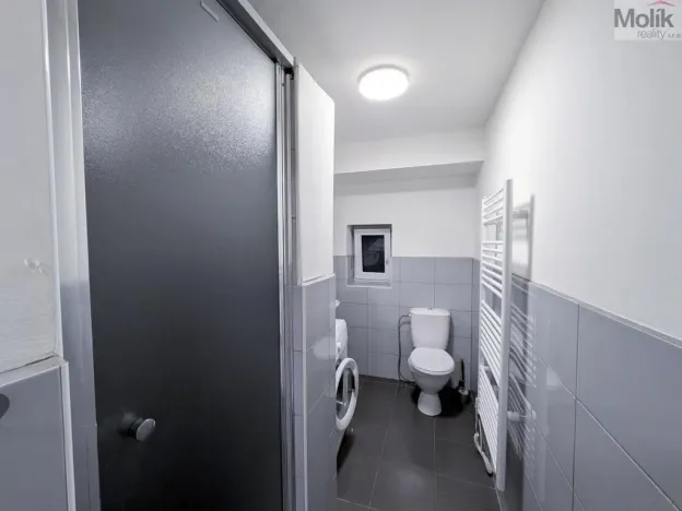 Pronájem bytu 2+kk, Teplice - Trnovany, Máchova, 53 m2