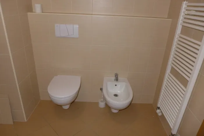 Pronájem bytu 2+kk, České Budějovice - České Budějovice 2, Pasovská, 52 m2