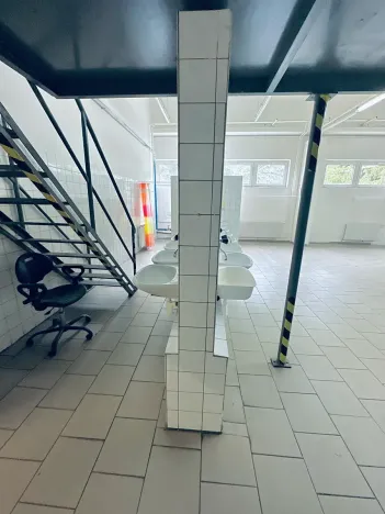 Pronájem výrobních prostor, Chodová Planá, Kyjovská, 2497 m2