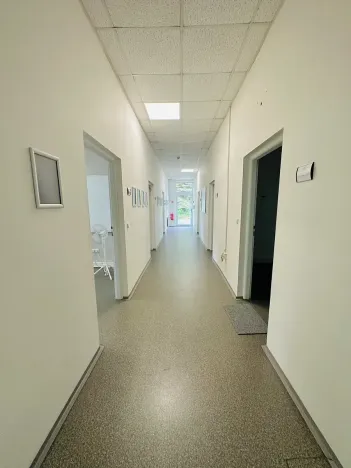 Pronájem výrobních prostor, Chodová Planá, Kyjovská, 2497 m2