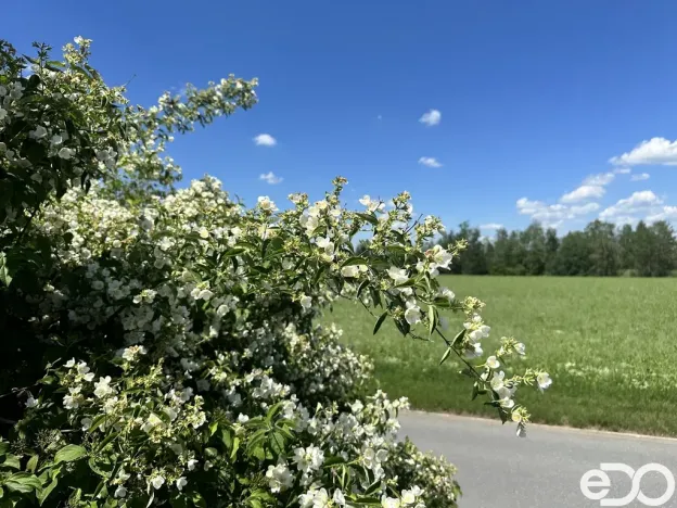 Prodej garáže, Tábor, 18 m2