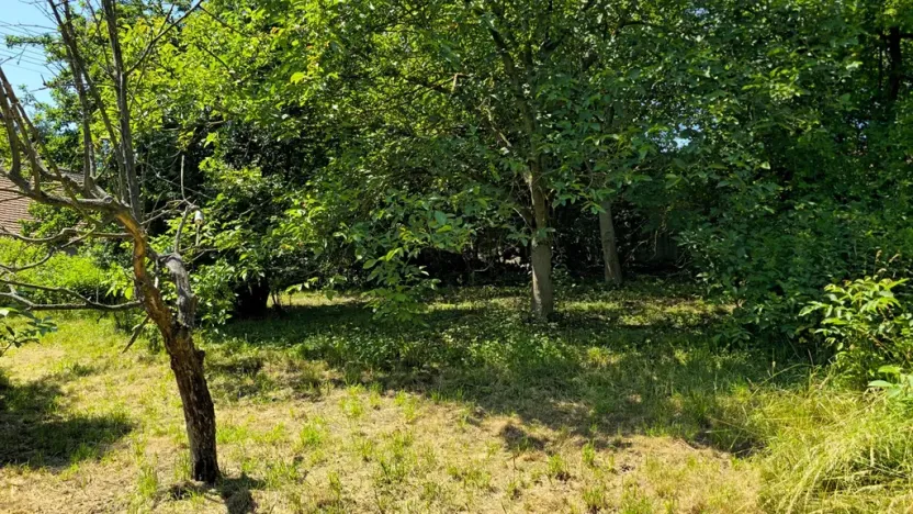 Prodej pozemku pro bydlení, Bukovina u Přelouče, 998 m2