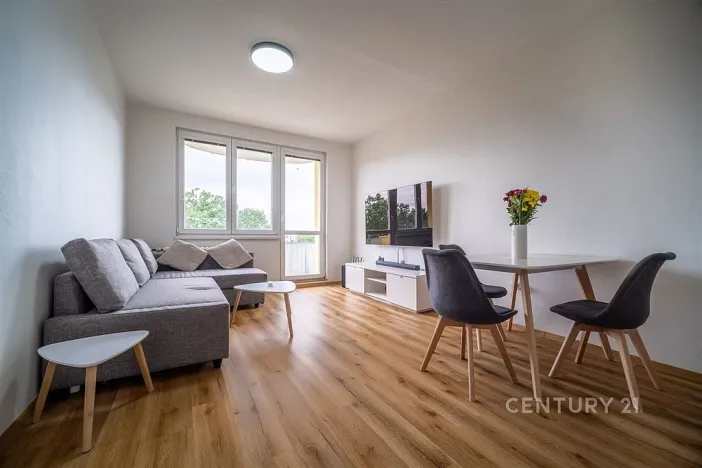 Prodej bytu 2+kk, České Budějovice - České Budějovice 2, Otavská, 46 m2