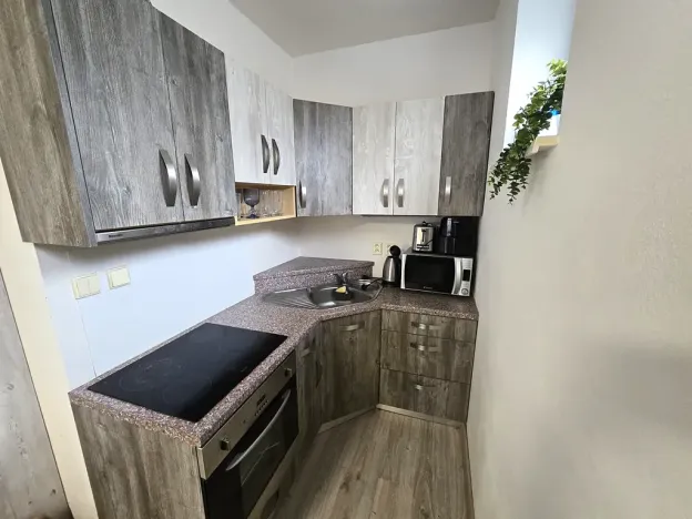 Prodej bytu 1+kk, Bílovice nad Svitavou, Šebelova, 35 m2