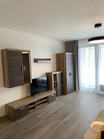 Pronájem bytu 2+kk, Praha - Karlín, Nekvasilova, 67 m2